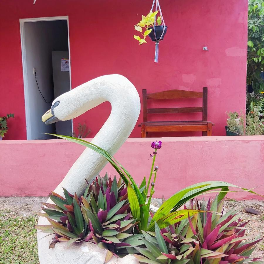 Espaco Slow Living Flor Do Pantanal Piraputanga Buitenkant foto